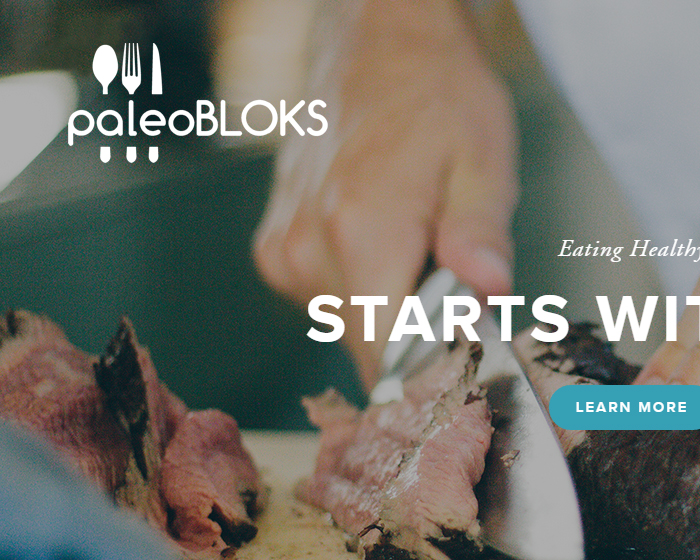 Logo Design for paleoBloks.com