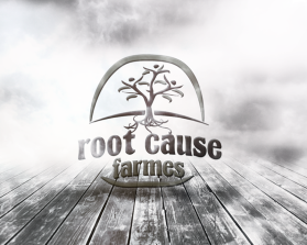 Root Cause Farm entry by Aleksandra Kateusz