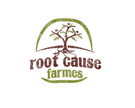 Root Cause Farm entry by Aleksandra Kateusz