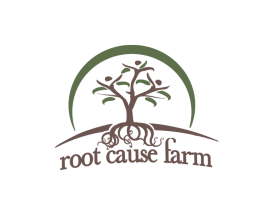 Root Cause Farm entry by Aleksandra Kateusz