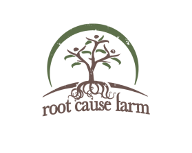 Root Cause Farm entry by Aleksandra Kateusz