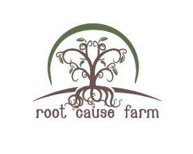 Root Cause Farm entry by Aleksandra Kateusz