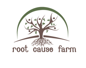 Root Cause Farm entry by Aleksandra Kateusz