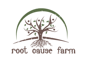 Root Cause Farm entry by Aleksandra Kateusz