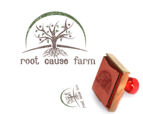 Root Cause Farm entry by Aleksandra Kateusz