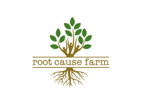 Root Cause Farm entry by Edy Santoso