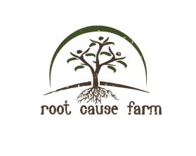 Root Cause Farm entry by Aleksandra Kateusz
