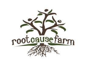 Root Cause Farm entry by Aleksandra Kateusz