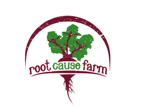 Root Cause Farm entry by Aleksandra Kateusz