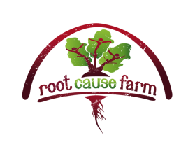 Root Cause Farm entry by Aleksandra Kateusz