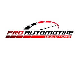 Pro Automotive Solutions  entry by bornquiest