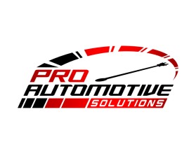 Pro Automotive Solutions  entry by bornquiest