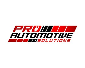 Pro Automotive Solutions  entry by bornquiest