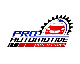Pro Automotive Solutions  entry by bornquiest