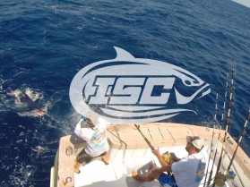 Instigator Sportfishing Charters entry by purwa gustira
