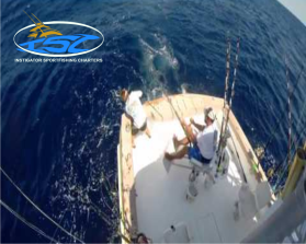 Instigator Sportfishing Charters entry by airacheeka