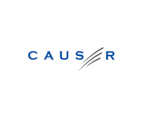 Causer entry by amudee