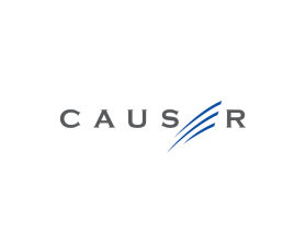Causer entry by amudee