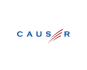 Causer entry by amudee