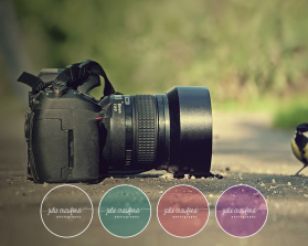 Julie Crawford Photography entry by neilfurry