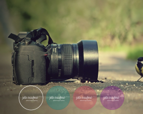 Julie Crawford Photography entry by neilfurry