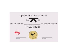 Graphic Design entry 967871 submitted by webwinner to the Graphic Design for premier martial arts run by floridapma