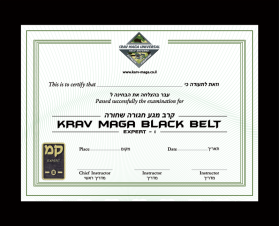 Graphic Design entry 967882 submitted by webwinner to the Graphic Design for premier martial arts run by floridapma