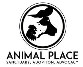 Animal Place entry by hadyloo