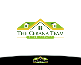 The Cerana Team entry by LeAnn