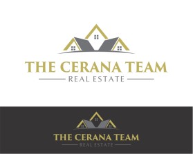 The Cerana Team entry by frankeztein
