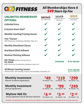 GOFitnesscenter.com entry by dsdezign