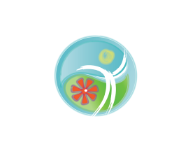 B.A.L.L. Bicultural Active Living Lifestyle entry by DORIANA999