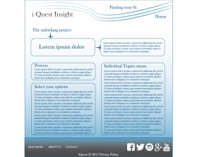 www.iQuestInsight.com entry by noxjk