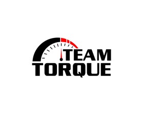 Team Torque www.teamtorque.co.nz entry by driver2