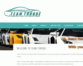 Team Torque www.teamtorque.co.nz entry by Oidesign