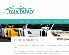 Team Torque www.teamtorque.co.nz entry by Oidesign