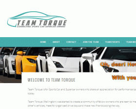 Team Torque www.teamtorque.co.nz entry by Oidesign
