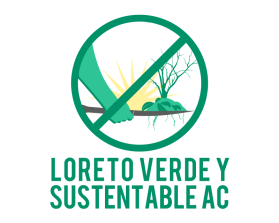 Loreto Verde y Sustentable AC entry by neilfurry