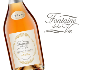 Fountaine de la Vie entry by smarttaste