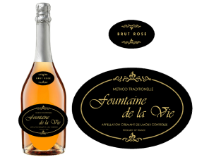 Fountaine de la Vie entry by venina