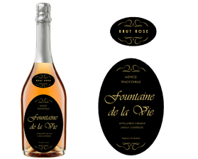 Fountaine de la Vie entry by venina