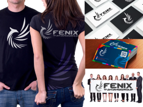 www.fenixfundinggroup.com entry by Salman