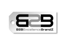 B2B Excellence BrandZ entry by shefkire