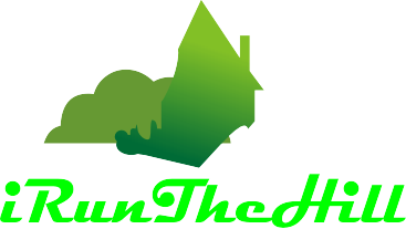 Logo Design entry 1074642 submitted by lovers