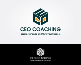 CEO Coaching entry by zayyin