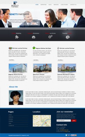BenettiPartners.com entry by luckydesign