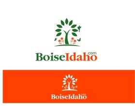 BoiseIdaho.com entry by Fransiskus Gosali