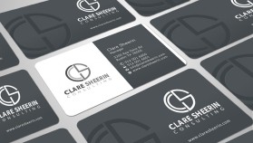 Clare Sheerin Consulting entry by skyford412