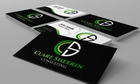 Clare Sheerin Consulting entry by jayganesh