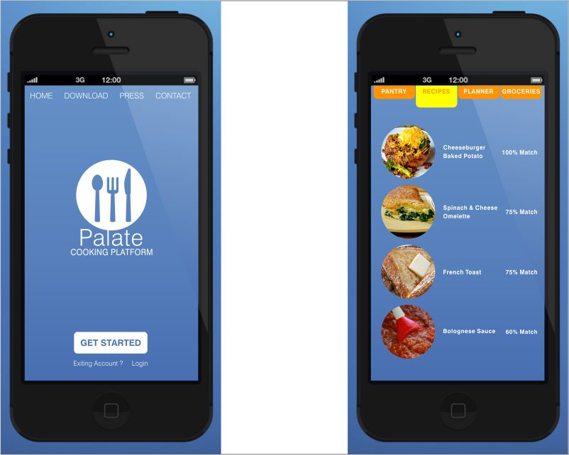 Graphic Design for Palate Cooking Platform